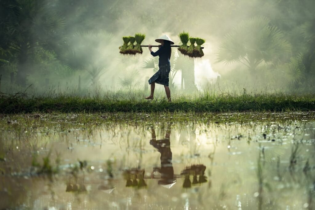 How Digital Businesses Can Adopt Sustainable Practices